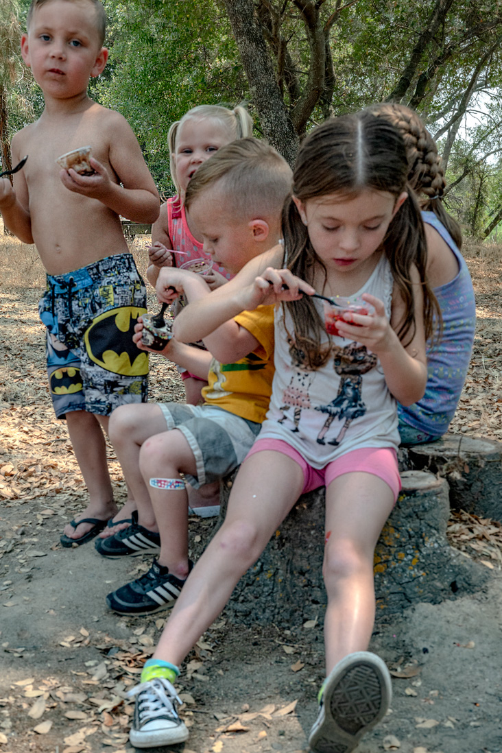 Folsom Lake 2018